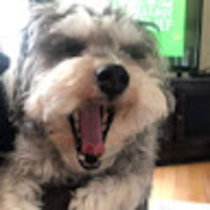 Meet your Posher, Mia